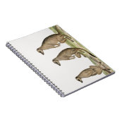 Suricata-Meerkats-Suricatta Notizblock (Rechte Seite)