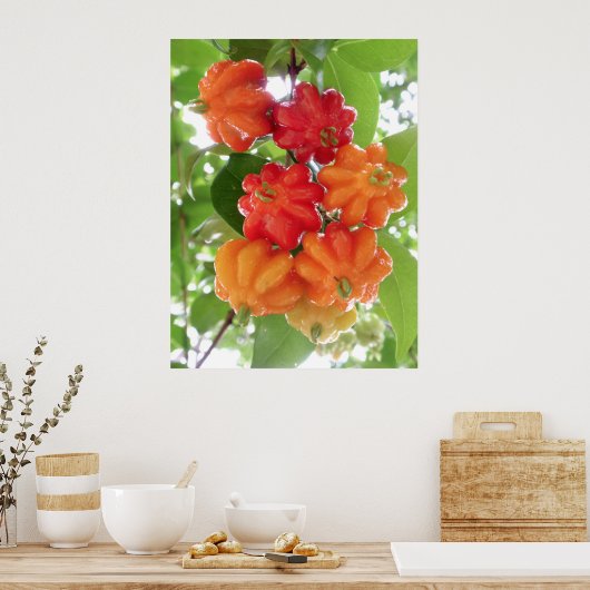 Surinam Cherries Poster (Küche)