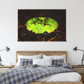 Surinam Horned Frog Ceratophrys Cornuta Leinwanddruck (Insitu (Schlafzimmer))