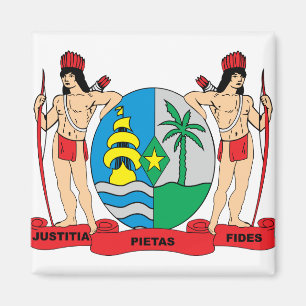 Surinam-Wappen Detail Magnet