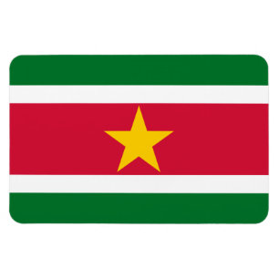 Suriname-Flag Magnet