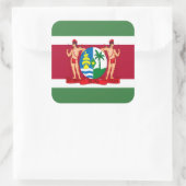 Suriname-Flagge und -Wappen, Flagge Surinams Quadratischer Aufkleber (Tasche)