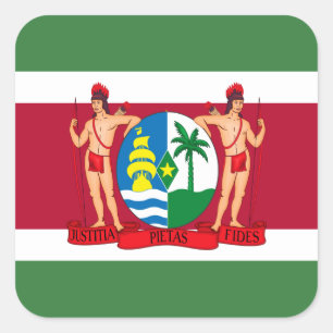 Suriname-Flagge und -Wappen, Flagge Surinams Quadratischer Aufkleber