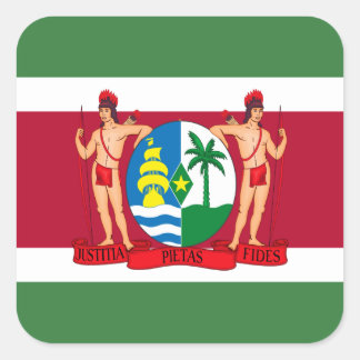 Suriname-Flagge und -Wappen, Flagge Surinams Quadratischer Aufkleber