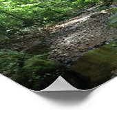 Suriname Forest Poster (Ecke)