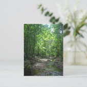 Suriname Forest Postkarte (Stehend Vorderseite)