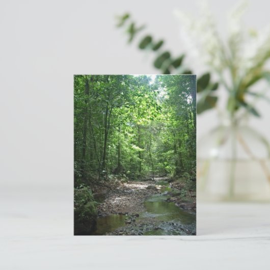Suriname Forest Postkarte (Stehend Vorderseite)
