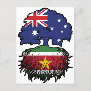 Suriname Surinamese Australian Australia Tree Root Postkarte