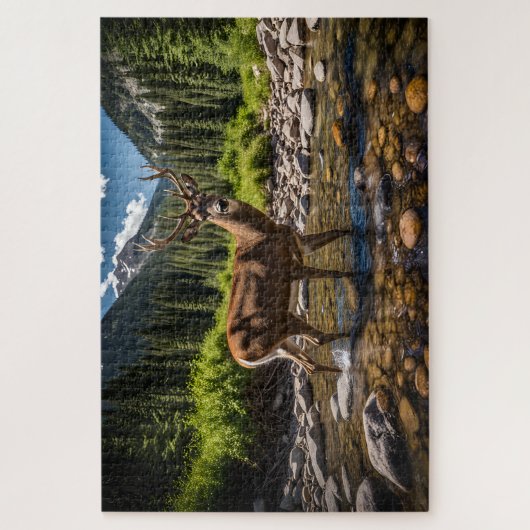 Surprised at the Watering Hole Puzzle (Vertikal)