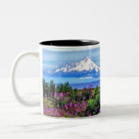 Surreal Alaskan Wilderness