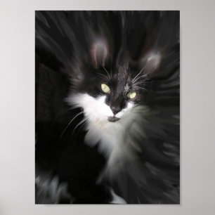 Surreal Cat Print Poster