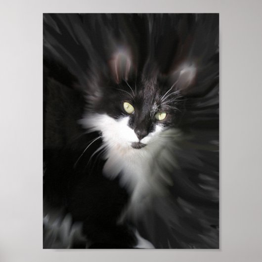 Surreal Cat Print Poster (Vorne)
