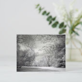 Surreal falsche Farbe Infrarot Federlandschaft. Postkarte (Stehend Vorderseite)