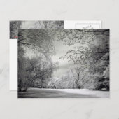 Surreal falsche Farbe Infrarot Federlandschaft. Postkarte (Vorne/Hinten)