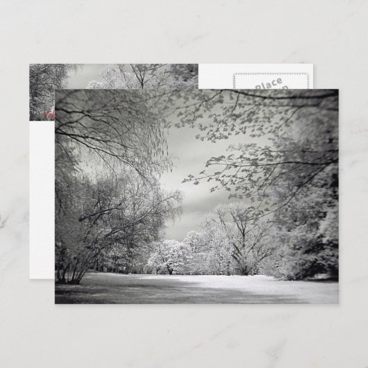 Surreal falsche Farbe Infrarot Federlandschaft. Postkarte (Vorne/Hinten)