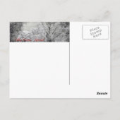 Surreal falsche Farbe Infrarot Federlandschaft. Postkarte (Rückseite)