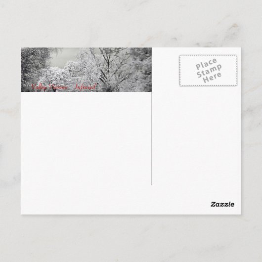 Surreal falsche Farbe Infrarot Federlandschaft. Postkarte (Rückseite)