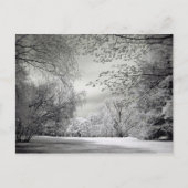 Surreal falsche Farbe Infrarot Federlandschaft. Postkarte (Vorderseite)