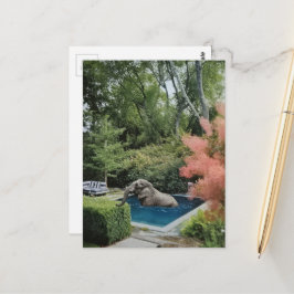 Surreal lustiger schöner Elefant im Pool Postkarte