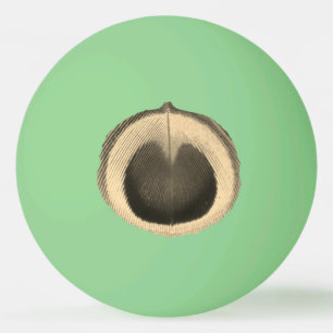 Surreal Peacock Eye Ping Pong Ball Tischtennisball