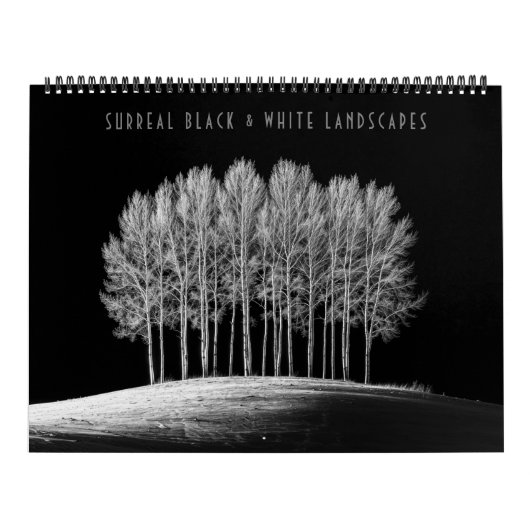 Surreal Schwarz & Weiß Landschaften Kalender (Titelbild)