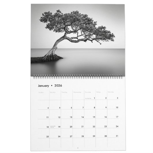 Surreal Schwarz & Weiß Landschaften Kalender (Jan 2026)