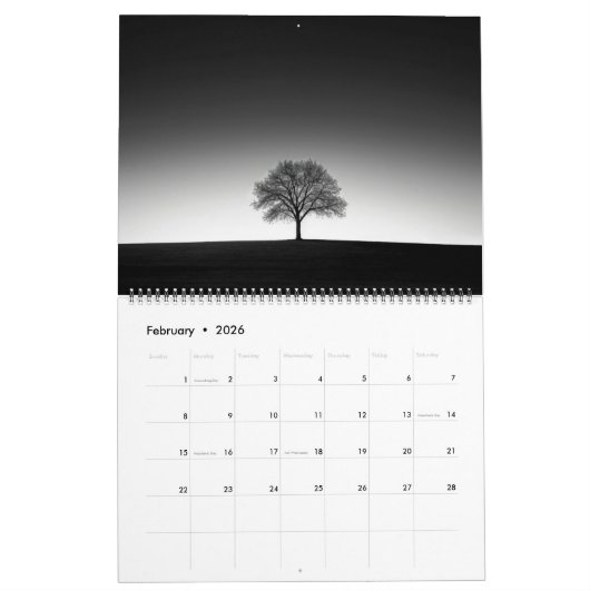 Surreal Schwarz & Weiß Landschaften Kalender (Feb 2026)