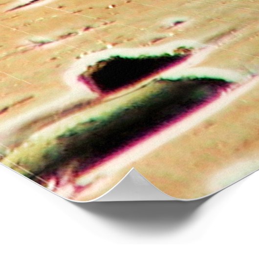 Surreal Surfsafari Poster 1 (Ecke)