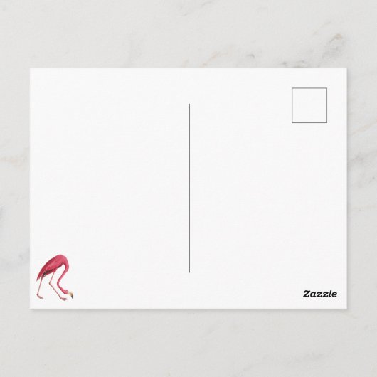 Surreale Flamingos im Schnee Postkarte (Rückseite)