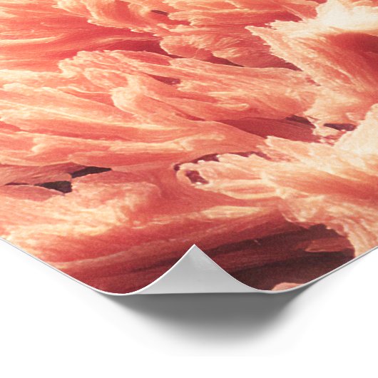 Surreale Ozeanszene mit Walen und Korallen Poster (Ecke)