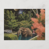 Surrealer schöner Elefant im Pool Postkarte (Vorderseite)