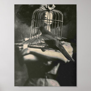 Surrealer Schwarz-Weiß-Vogel im Käfig und Dame Poster