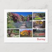 Surrey Postkarte (Vorderseite)