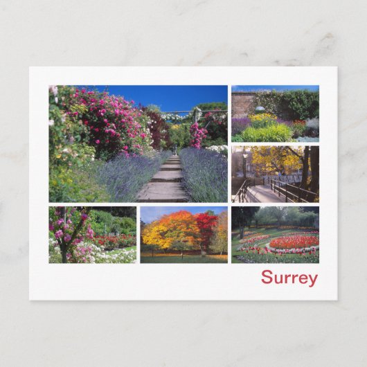 Surrey Postkarte (Vorderseite)