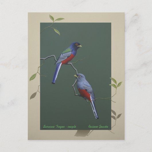 Surucua Trogon - Paar Postkarte (Vorderseite)