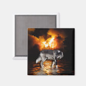 "Survivor" Gray Wolf Magnet (Vorderseite/Rückseite)