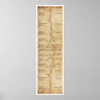 Suryanamaskara - Die Sonnenanregung - Portrait Poster