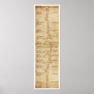 Suryanamaskara - The Sun-Gruß - Porträt Poster