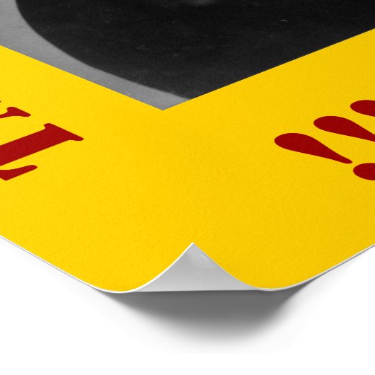 Susan B Anthony erinnert uns Poster (Ecke)