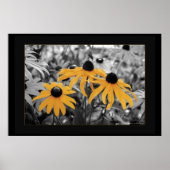 Susan Three Poster (Vorne)