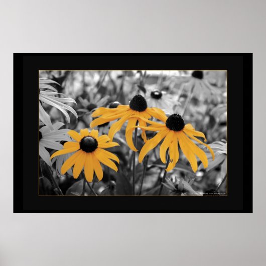 Susan Three Poster (Vorne)