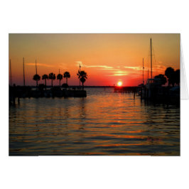 "Susending Time" Dunedin Marina