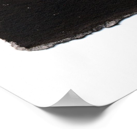 Sushi Cat Sashimi Sweetie Print Poster (Ecke)