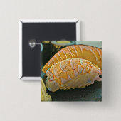 Sushi-Liebesgeschenk Button (Vorne & Hinten)