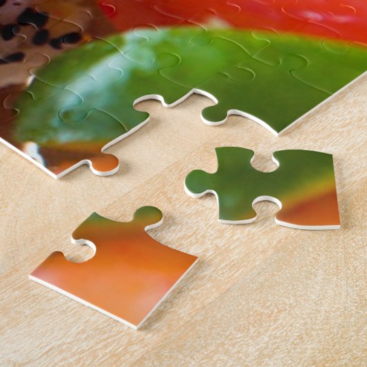 Sushi Rolls Puzzle (Seite)