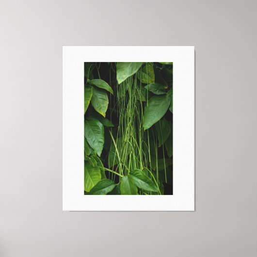 Suspended Nature Leinwanddruck (Vorderseite)