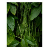 Suspended Nature Poster (Vorderseite)