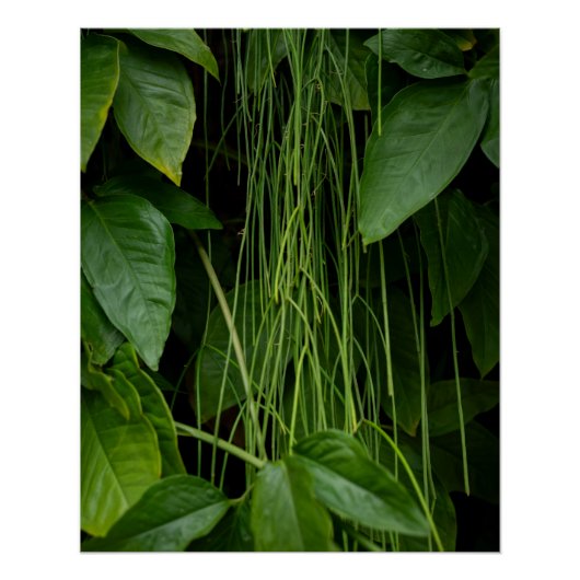 Suspended Nature Poster (Vorderseite)