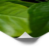 Suspended Nature Poster (Ecke)