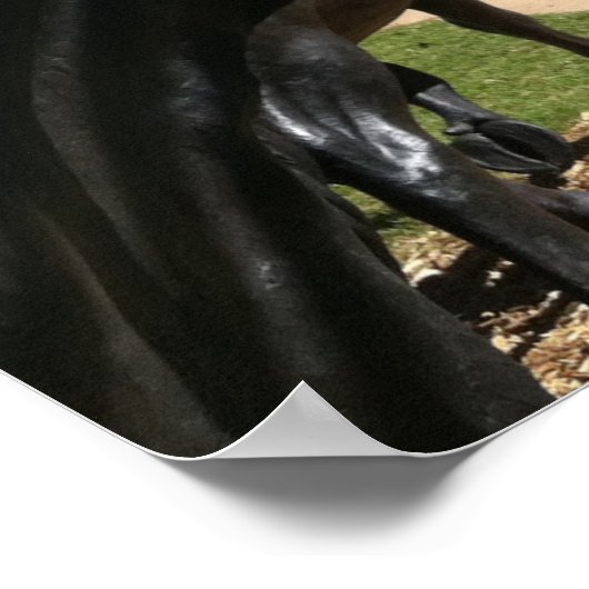 Suspension Bridge, Waco, TX Poster (Ecke)